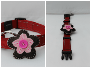 Flores para adornar el collar de tu mascota
