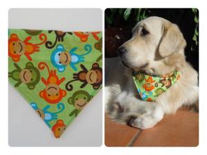 Pañuelo adaptable para el collar